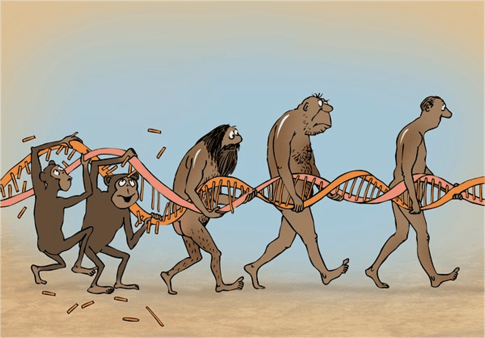 e-dna-repair-cartoon